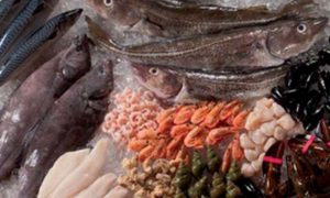 Fødevareklubben arrangerer tur til fiskerimessen i Bruxelles
