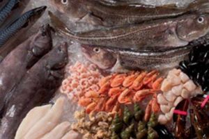 Fødevareklubben arrangerer tur til fiskerimessen i Bruxelles