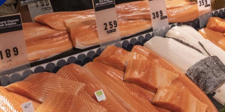 Norsk eksportværdi falder trods stigende salg i mængden af fisk og skaldyr. foto. Seafood.no