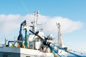 Norges fiske-eksport 2020 er den næstbedste nogensinde