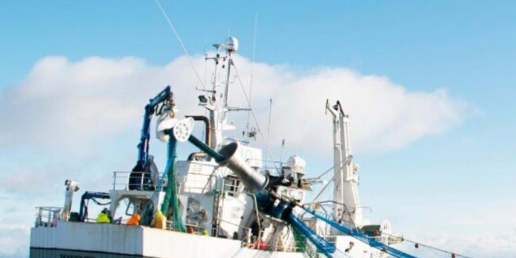 Norges fiske-eksport 2020 er den næstbedste nogensinde