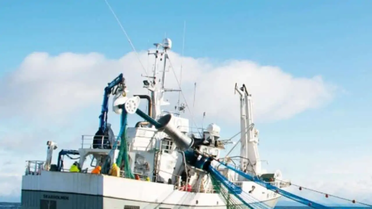 Read more about the article Norges fiske-eksport 2020 er den næstbedste nogensinde