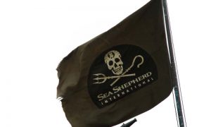 Miljøaktivister fra Sea Shepherd får store bøder.  Arkivfoto: Sea Shepherd flag
