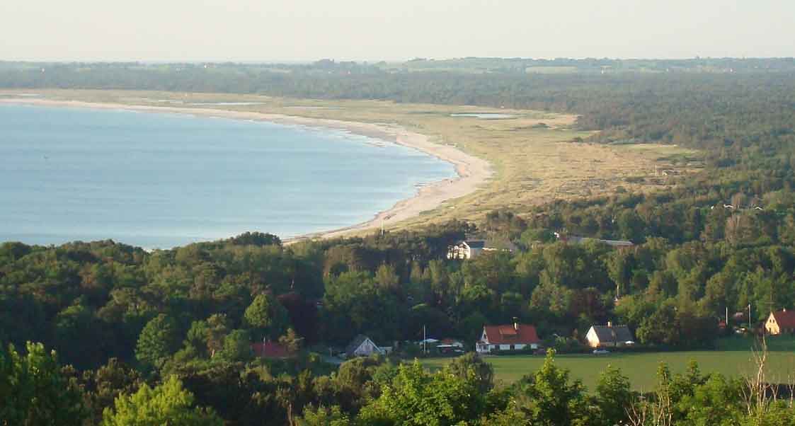 Read more about the article Da fiskene forsvandt – Sejerøbugten og kampen mod den nye normal