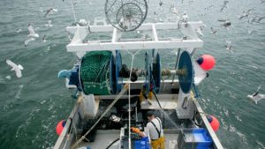 EU: Status og udviklinger indenfor fiskeriets selektivitet arkivfoto: EU PECH Committee