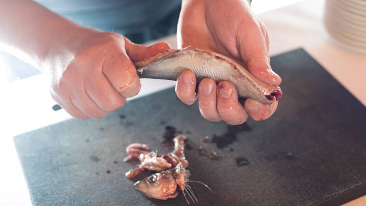 Read more about the article Masser af kunder, men for få fisk – det ærgrer Nordjysk Fiskeselskab