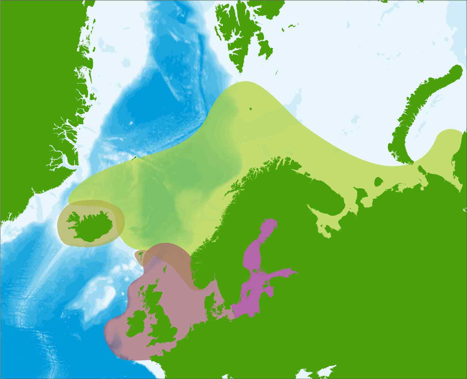 Sildekort udbredelse - Havstovan 