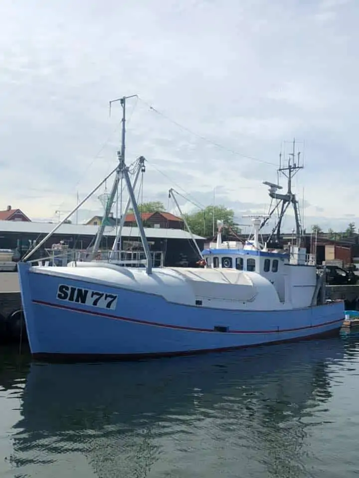 Read more about the article Svensk skipper fanger fladfisk med redskaber der selekterer torsken