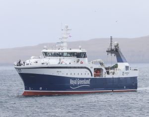 Færøerne: Grønlandsk fabrikstrawler henter stor fangst af torsk - »Sisimiut«