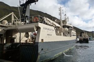 God makrel sæson for par trawlere på Færøerne.  Foto: Sjagaklettur