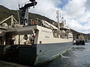 Read more about the article God makrel sæson for par trawlere på Færøerne