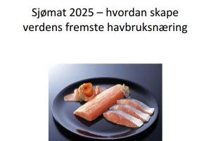 Norge kan brødføde 100 mio. mennesker med fisk og skaldyr inden 2025.  Foto: Sjømats Rapporten 2025 - FHL