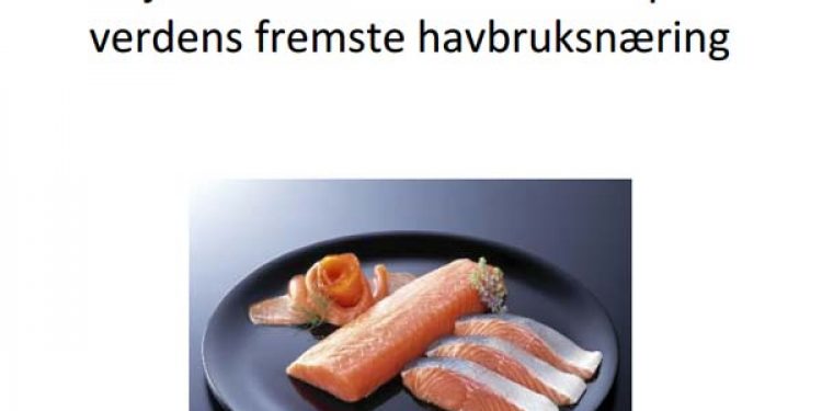 Norge kan brødføde 100 mio. mennesker med fisk og skaldyr inden 2025.  Foto: Sjømats Rapporten 2025 - FHL