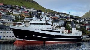 I Klaksvík landede den store filet-trawler Sjúrðarberg en last på 330 tons filet, som de har fisket i Barentshavet. foto Torleif Johannesen SM og Fiskur.fo