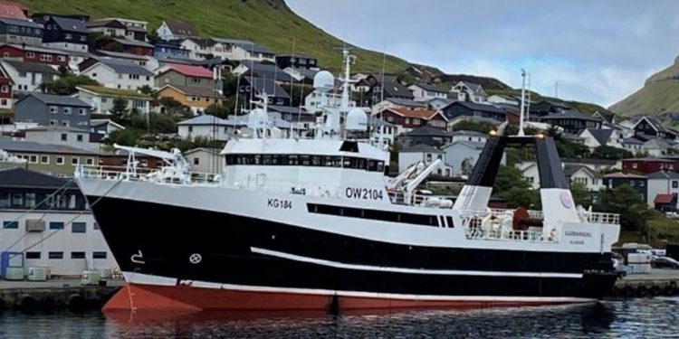 I Klaksvík landede den store filet-trawler Sjúrðarberg en last på 330 tons filet, som de har fisket i Barentshavet. foto Torleif Johannesen SM og Fiskur.fo