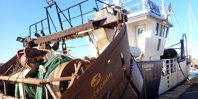 Endnu en norsk rejeselskab er gået konkurs foto: Skårholm - Hirtshals