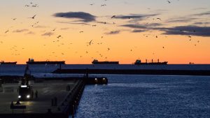 Skagen Red - foto: Skagen Havn