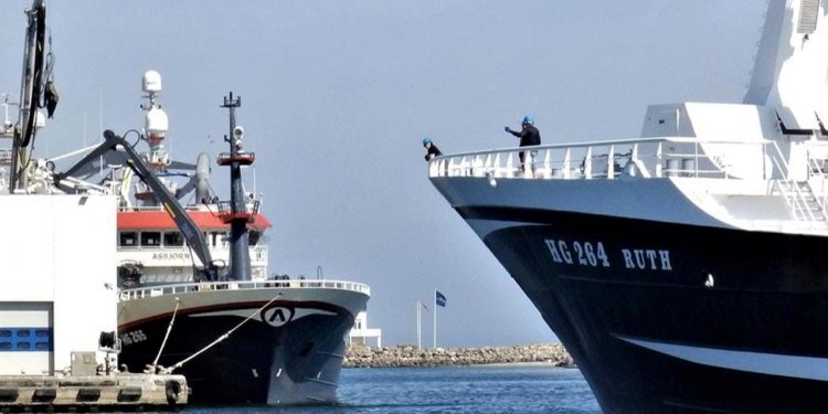 Skagen Havn rammer igen rekordoverskud