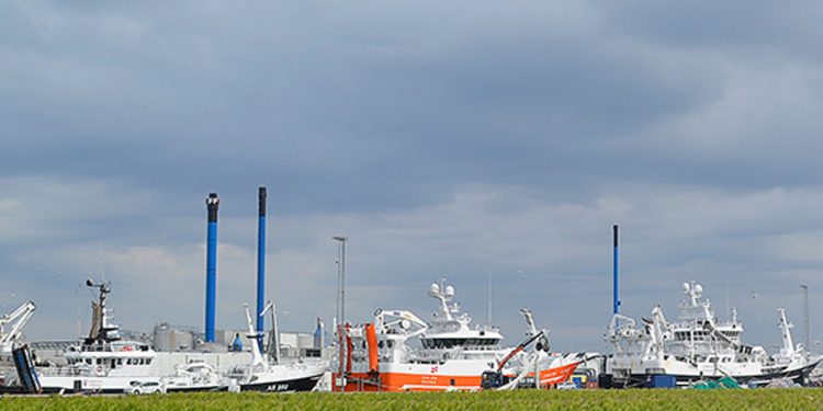 Skagen Havn ligger fortsat i en gunstig polition som landets førende fiskerihavn foto: Skagen Havn