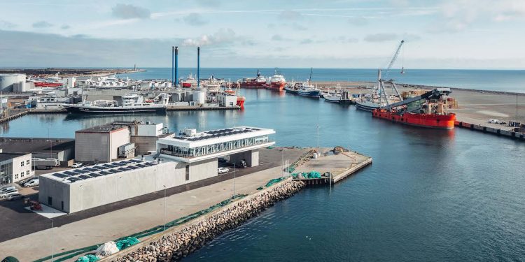 Skagen Havn havde flest tons fisk igennem i 2023 foto: Skagen Havn