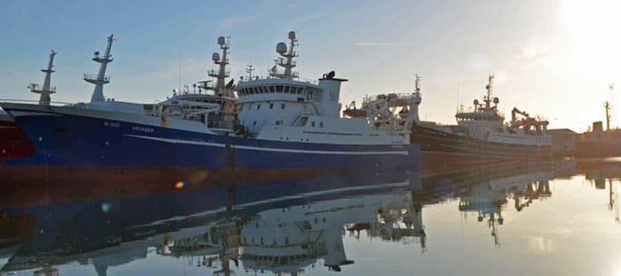 Read more about the article Skagen Havn befæster sin position som landets største fiskerihavn