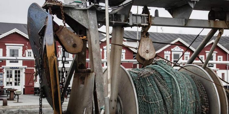 Danmarks største fiskerihavn lander fisk for 922 mio kroner