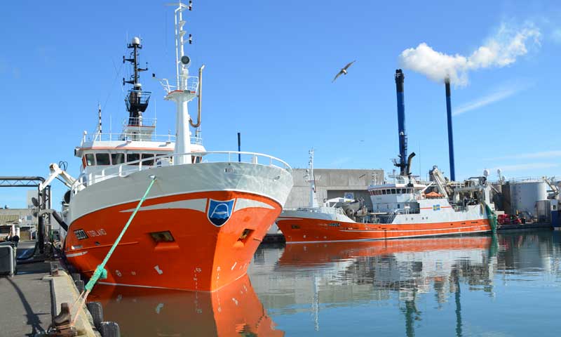 Read more about the article Skagen Havn er fortsat Danmarks førende fiskerihavn