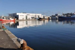 Skagerak Group har opgivet sildeproduktion i Hirtshals og flyttet produktionen til Skagen  Foto: FiskerForum