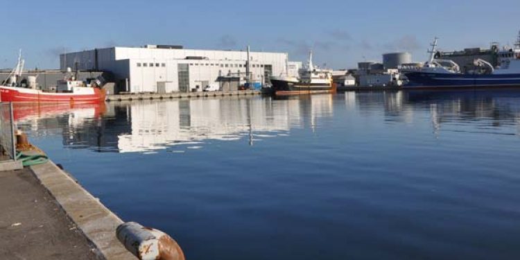 Skagerak Group har opgivet sildeproduktion i Hirtshals og flyttet produktionen til Skagen  Foto: FiskerForum