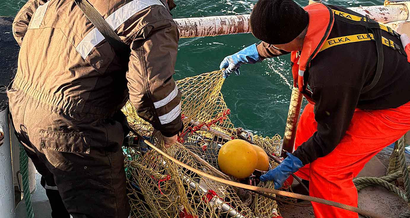 Derfor er »EMFAF Accelerator projektet« sat i søen for at sikre fremtidens demersale fiskeri – både miljømæssigt og økonomisk og med testtogtet i Skagerrak i januar måned i år, er første vigtige skridt taget. foto: DTU