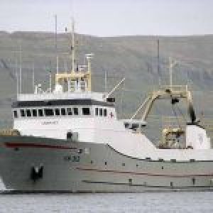 I Klaksvik landede partrawlerne **Grønanes** og **Safir**  120 tons fisk, hvoraf den overvejende del var sej, som de havde fisket ud for Færøerne.