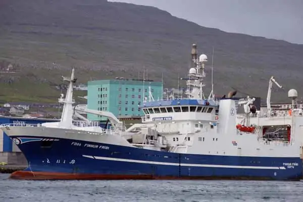 Read more about the article Færøerne: Blåhvilling fylder fiskeindustrien netop nu