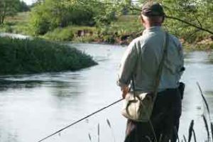 lyst og sportsfiskeri - skjern å - fiskepleje.dk