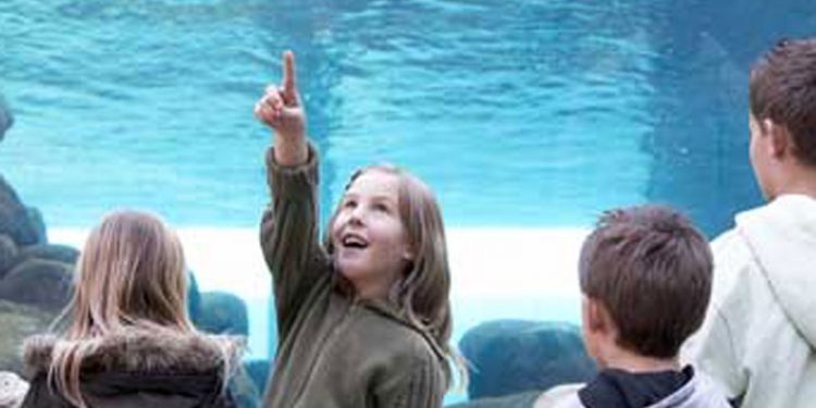 Vinterferieaktivitet: Besøg »den fantastiske ål« i Oceanarium  Foto: Skoletjenesten - Ocenarium - Nordsøen Hirtshals