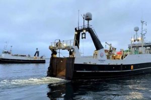 I Klaksvík kunne partrawlerne Skoraberg og Fuglberg i denne uge lande hele 220 tons guldlaks – en last, der tydeligt markerer et godt træk i det pelagiske fiskeri under Færøerne. foto: FS -Fiskur.fo