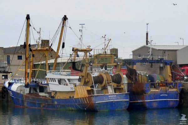Read more about the article Den højeste værdi af hvidfisk landinger i Skotland i 10 år.