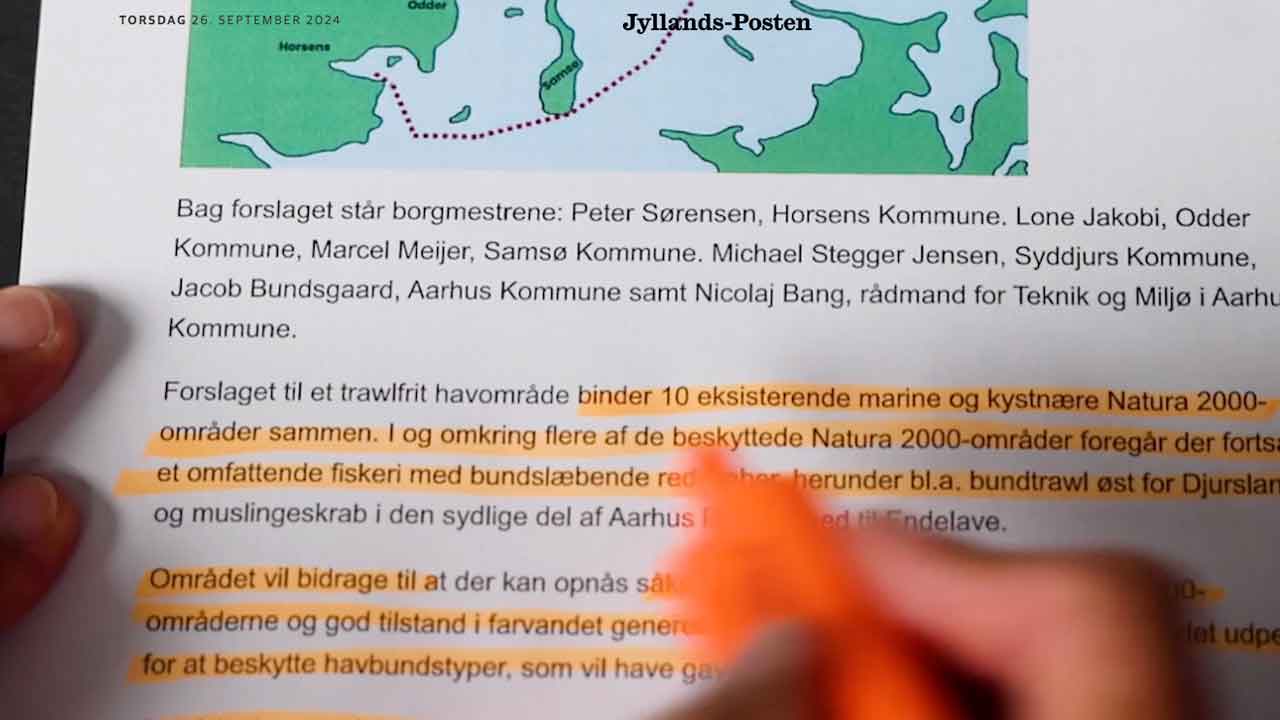 Read more about the article Danmarks Naturfredningsforening er »ikke et hak bedre selv«