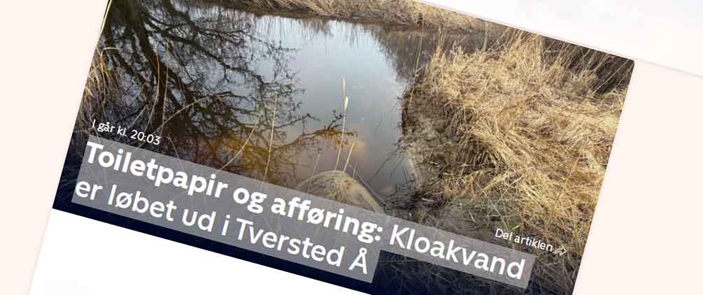 Read more about the article Kloakvand i Tversted Å – denne gang var det ikke landbruget