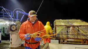 ‘Deadliest Catch’ er en populær amerikansk reality-serie på Discovery Channel, der siden 2005 har fascineret seere verden over. Serien giver et spændende, om end dramatisk, indblik i det hårde liv som fisker under barske forhold i Beringhavet ved Alaskas kyst. Screenshot Deadliest Catch