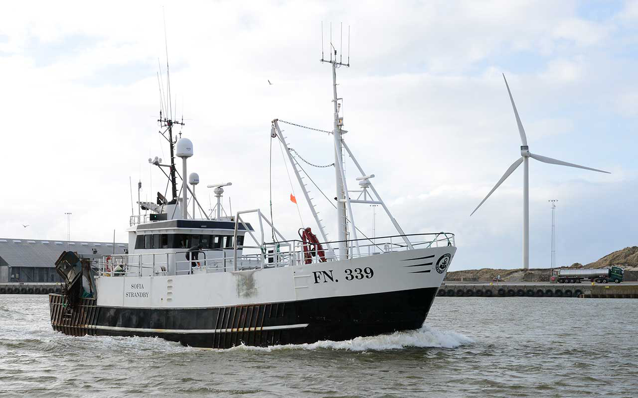 Read more about the article Nyindkøbt trawler flytter Østkyst-fiskeri til Vestkysten