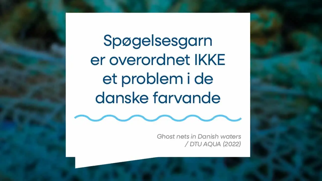 Read more about the article Danske fiskere tager affald med i land