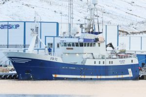 I Kollefjord landede fryse-lineskibet **Stapin** i sidste uge en last på 230 tons frossen fisk, som er fisket ved Island. foto: Kiran J