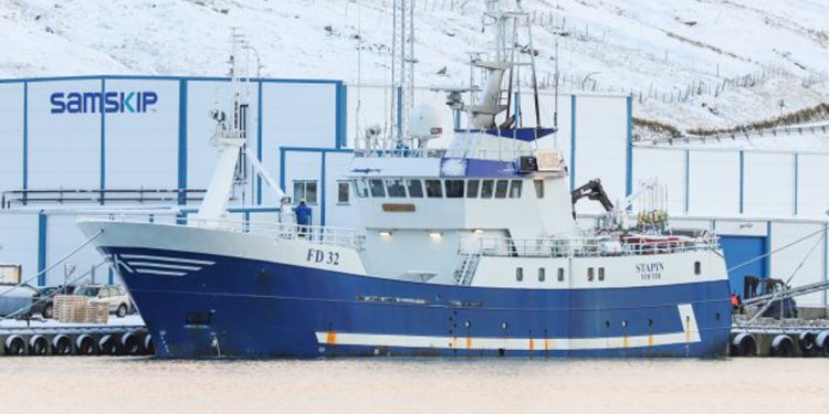 I Kollefjord landede fryse-lineskibet **Stapin** i sidste uge en last på 230 tons frossen fisk, som er fisket ved Island. foto: Kiran J