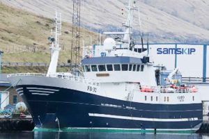 Færøerne: Flemish Cap-torsk giver nyt liv i færøsk fiskeri foto: Kiran J