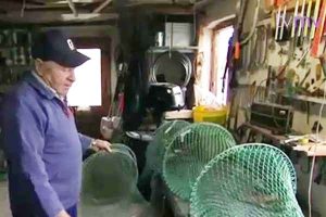Sælsikker hummer-ruse fra lokal fisker.  Foto: Lokal kystfisker Steffen Kristensen  Amtoft - TVMidtVest