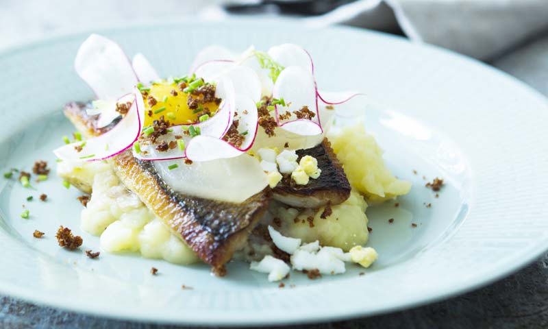 Read more about the article Finalen om Danmarks nationalret er nu skudt i gang