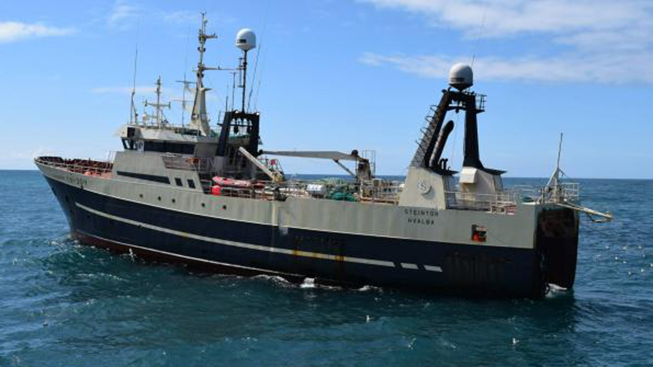 Det samme gør man i Tvøroyri, hvor trawleren Steintór landede 60 tons, overvejende rødfisk foto AH Fiskur.fo