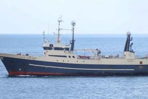 I sidste uge landede trawleren **Steintór** 35 tons rødfisk, som er en eftertragtet fisk både lokalt og til eksport. foto: Kiran J