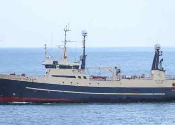 Trawleren Steintór landede i ugen en last på 90.000 pund hvoraf det meste som var i lasten var hellefisk. foto: Kiran J