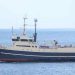 Trawleren Steintór landede i ugen en last på 90.000 pund hvoraf det meste som var i lasten var hellefisk. foto: Kiran J